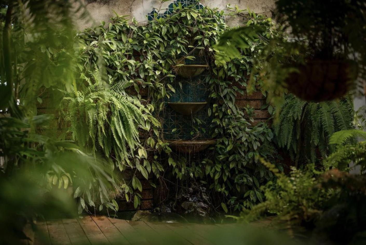 Casa Botanica Hotel San Juan Zewnętrze zdjęcie